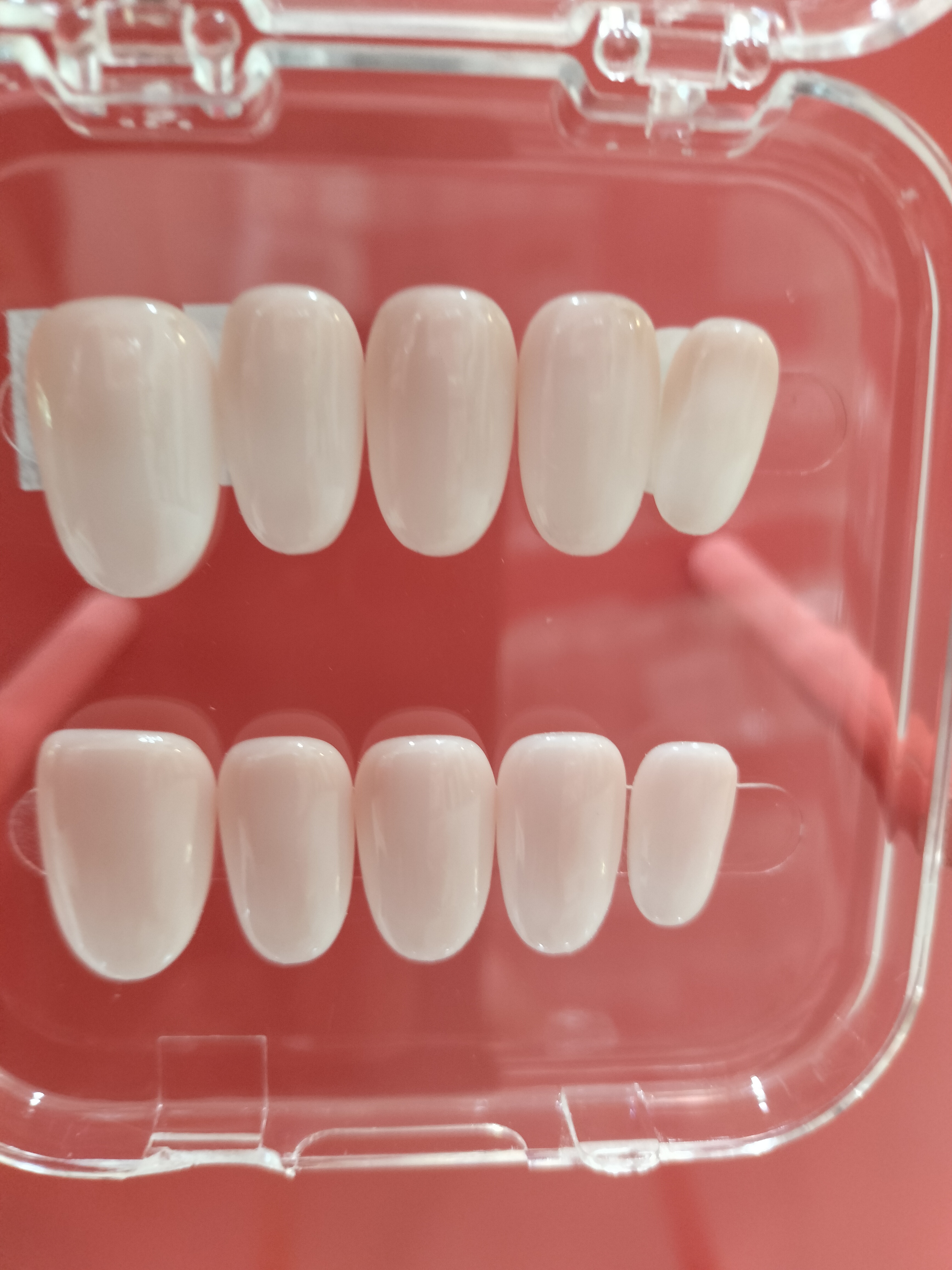 Press-on Nails Wholesale $1.90 Nailbox Yabe Line 1 by Yabe Vietnam